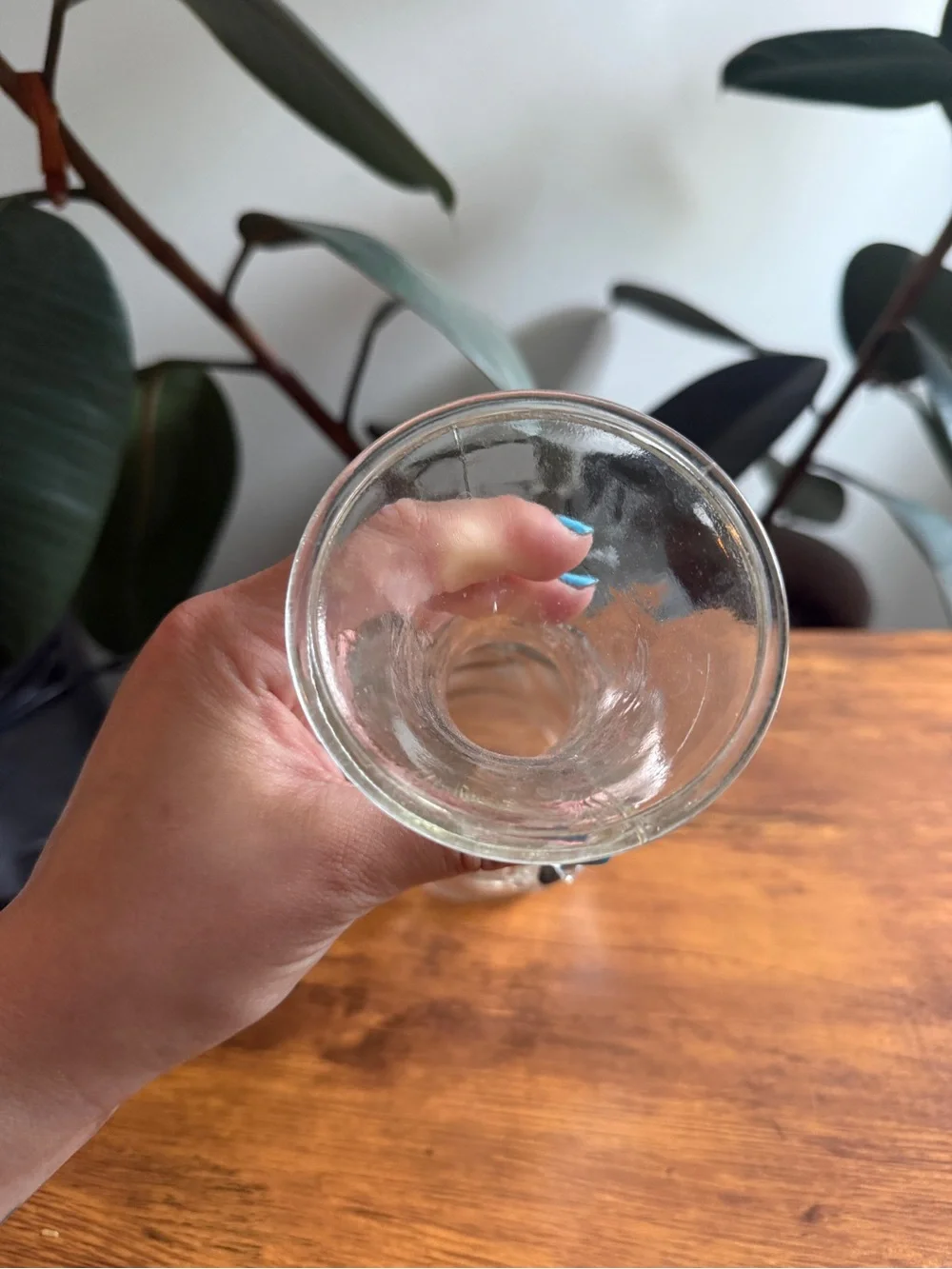 Clear Glass Carafe Vase